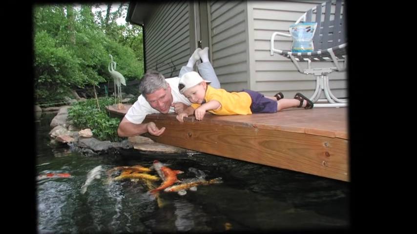 Koi fish and people