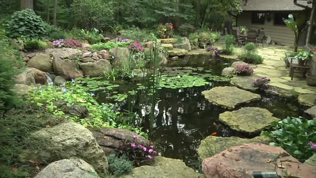 Large pond