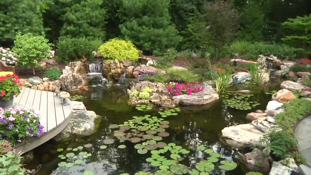 Large pond