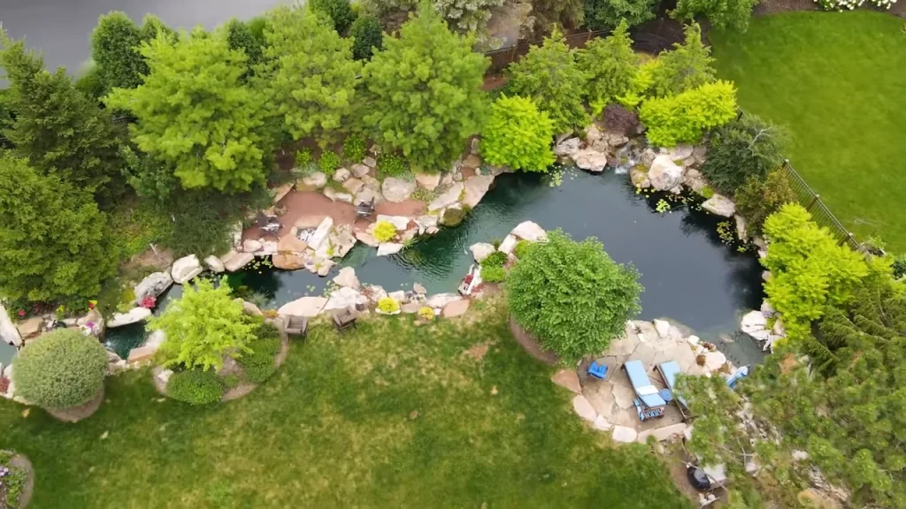 Large pond