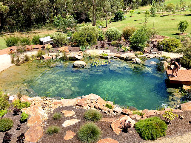 Large pond