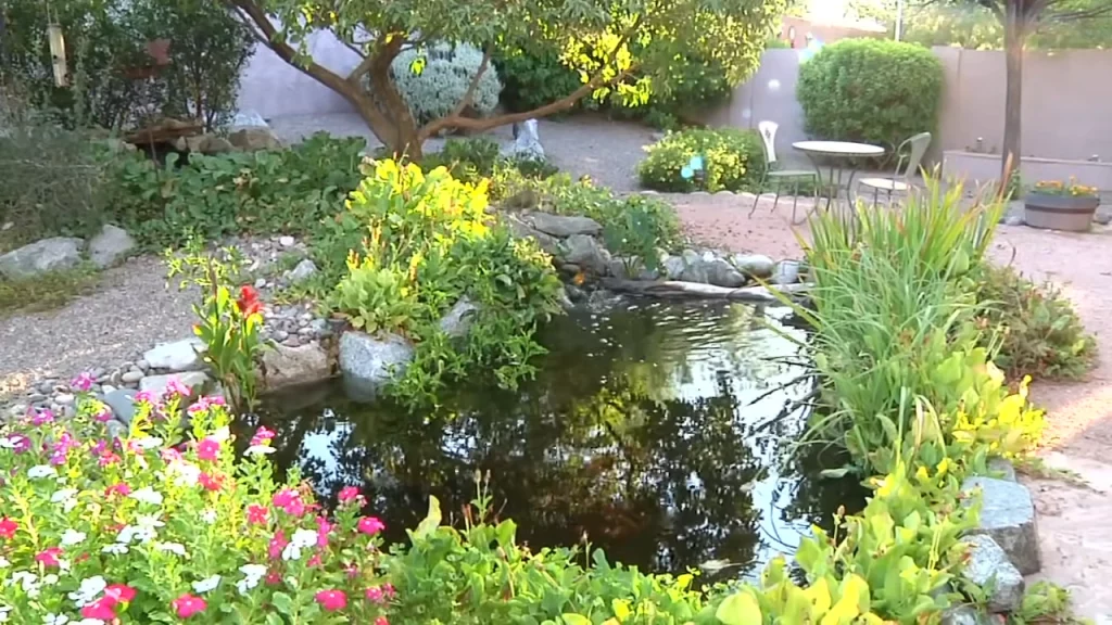 Medium pond