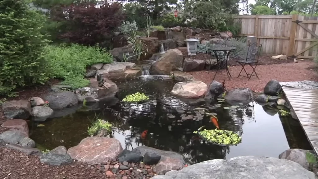 Medium pond