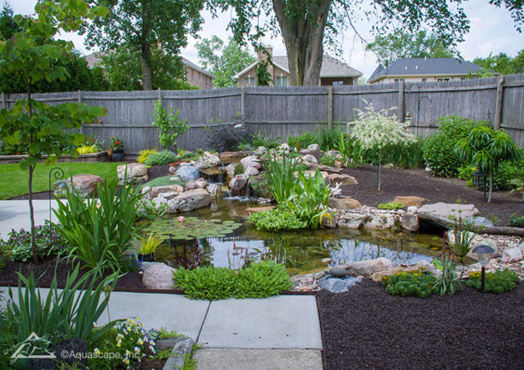 Medium pond