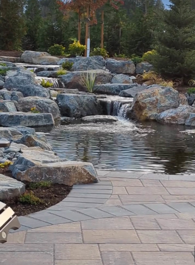 Medium pond
