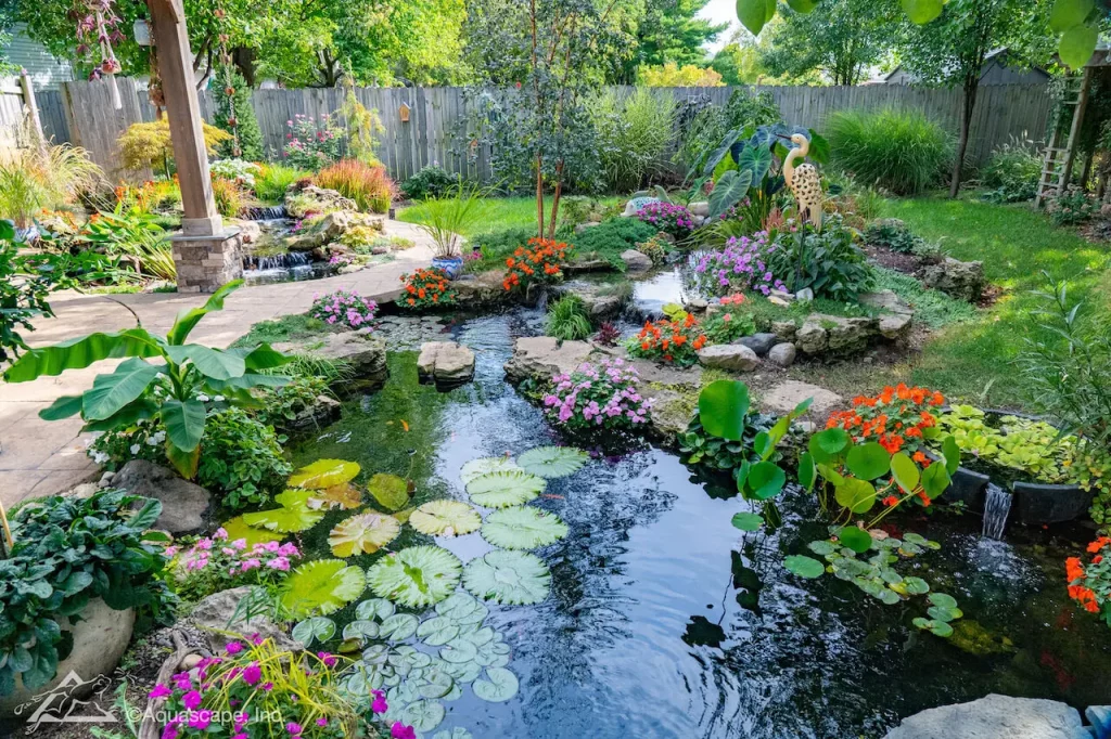 Medium pond