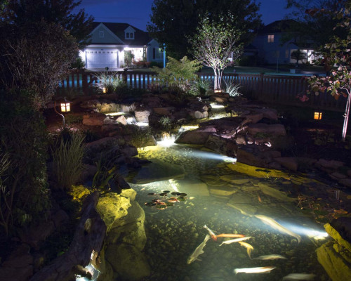 Medium pond