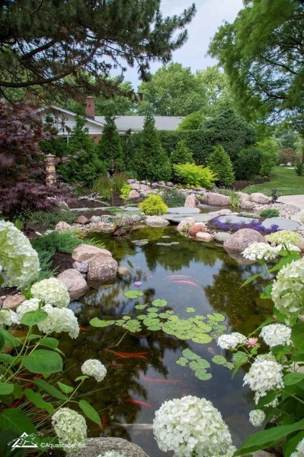 Medium pond