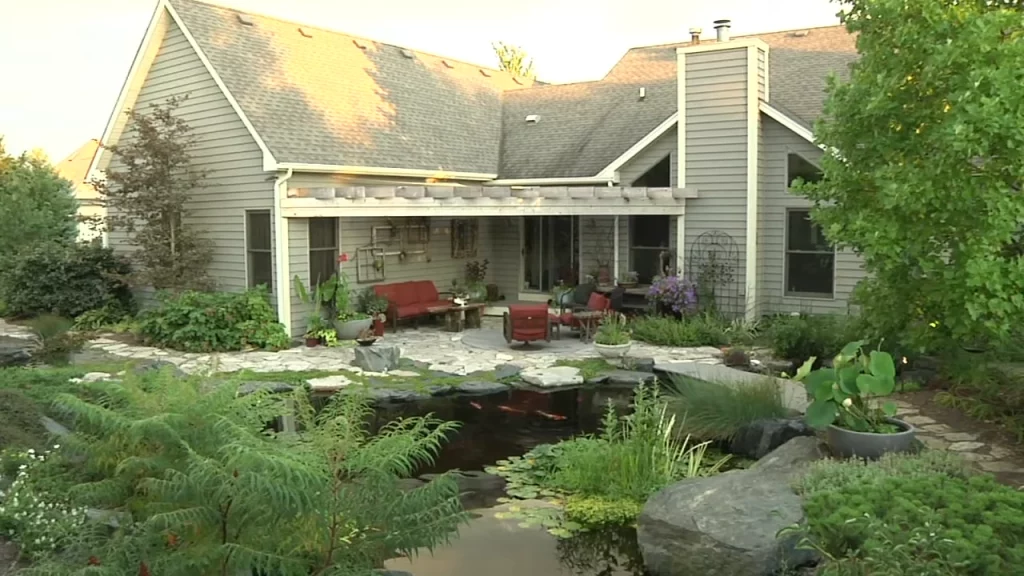Medium pond