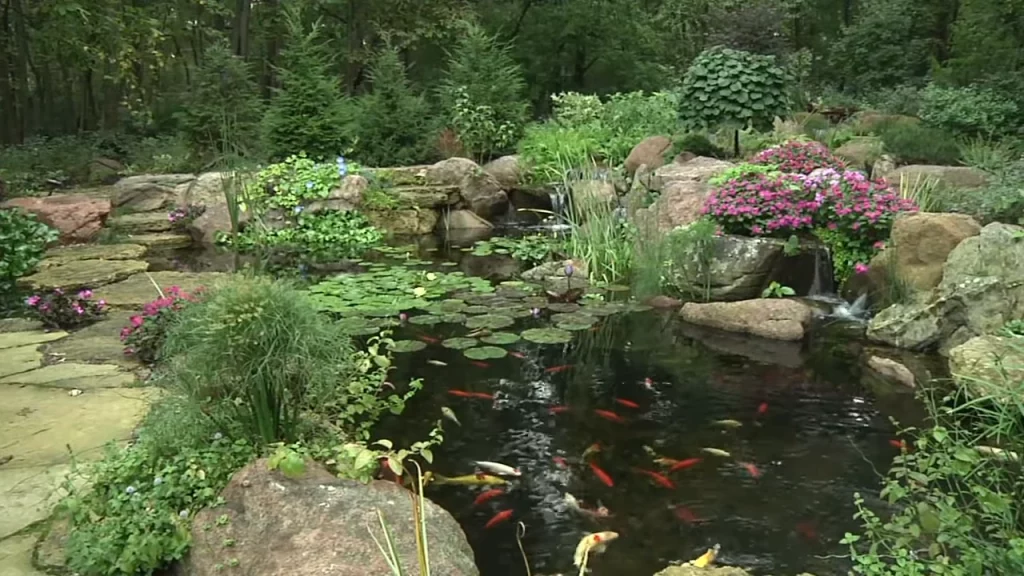 Medium pond