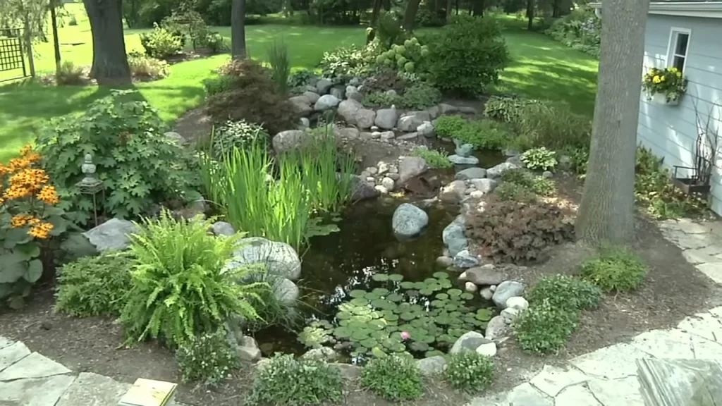 Medium pond