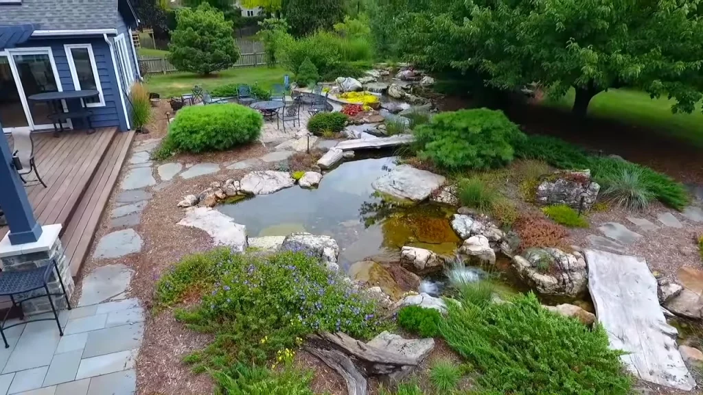 Medium pond with stream