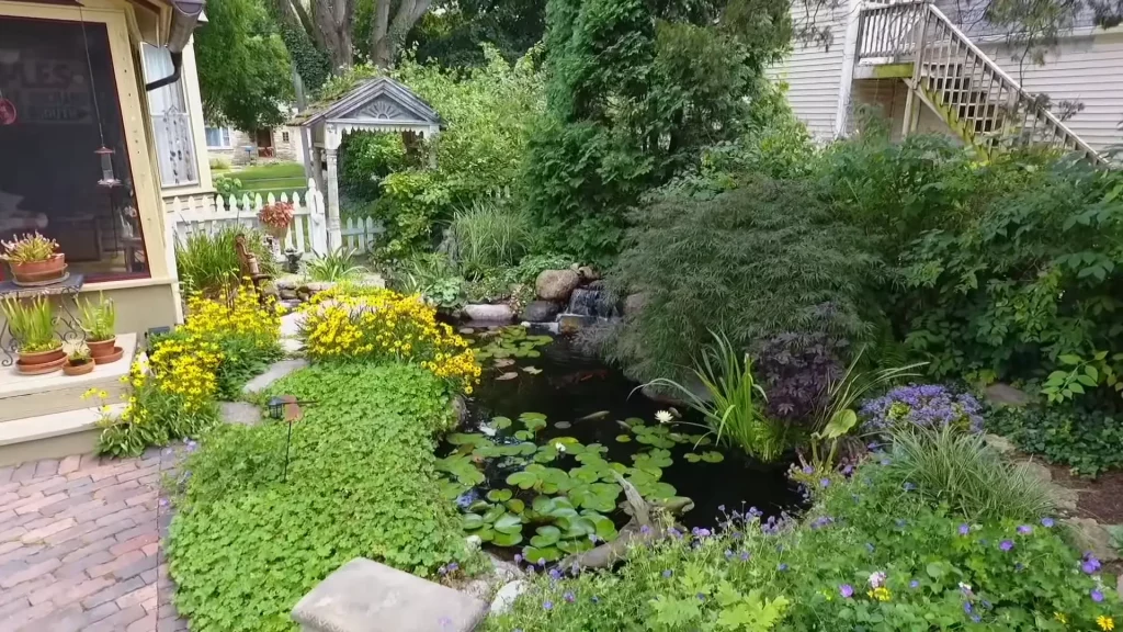 Small pond