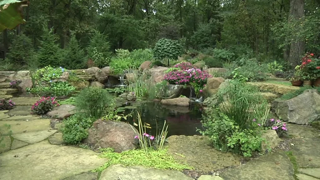 Small pond