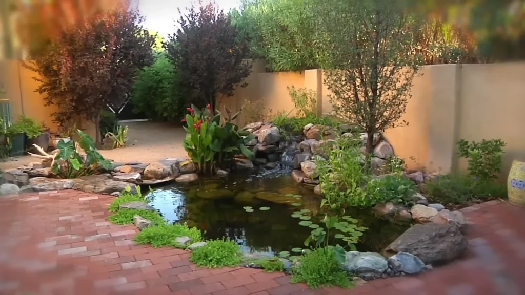 Small pond