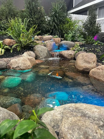 Small pond